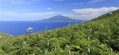 Hokkaido Mountains: 5 of the Most Stunning Hiking Trails | Japan Cheapo