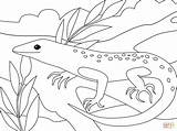 Lizard coloring Page  Free Printable Coloring Pages sketch template