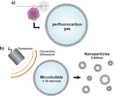 Microbubbles release cancer-fighting nanoparticles