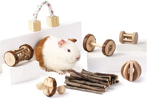 Best Rat Toys 2021 [Review]: What Kind of Toys Should My Rat Have? - Timeline Pets
