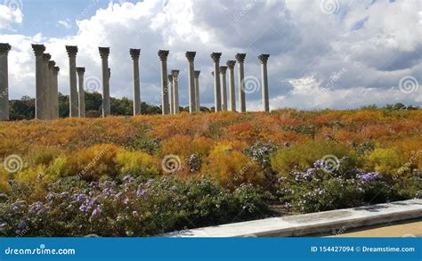 Capitol Columns, National Arboretum, Washington DC Editorial Stock ...