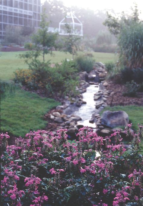 State Botanical Garden of Georgia - New Georgia Encyclopedia