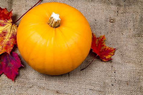 Pumpkin On The Jute Background Free Stock Photo - Public Domain Pictures