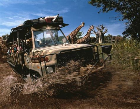 Kilimanjaro Safaris | Disney's Animal Kingdom Discount Tickets