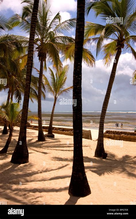 Malindi Beach, Kenya Stock Photo - Alamy