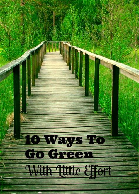 10 Ways To Go Green With Little Effort Required!