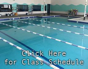 Happy Fish Swim School • Fremont, CA • Livermore, CA • Year-round Indoor Swim Lessons