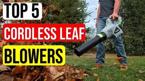 Top 5 Best Cordless Leaf Blowers 2020-Reviews And Guide - YouTube