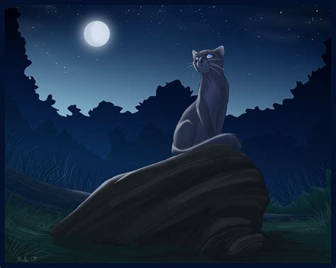 Bluestar 2 - Warrior Cats Forever Fan Art (30356796) - Fanpop