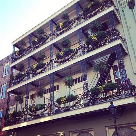 Bienville House Hotel reviews, photos - French Quarter - New Orleans ...