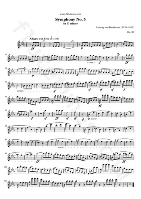 Symphony No. 5 (L. van Beethoven) - Free Flute Sheet Music | flutetunes.com