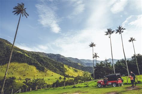 Valle de Cocora is één van de mooiste plekken van Colombia. Hier lees je hoe je bij de Valle de ...