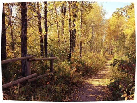 Why I love trail running in the fall.... --- Calgary, Alberta, Canada Calgary Alberta, Alberta ...