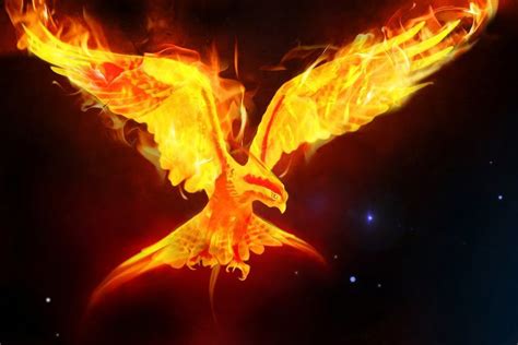 A Phoenix Rising from the Ashes. - Inspire Learning Teaching School Hub