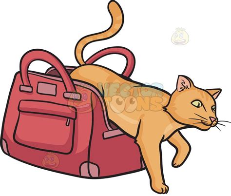 Let The Cat Out Of The Bag | Cat steps, Cats, Pets cats