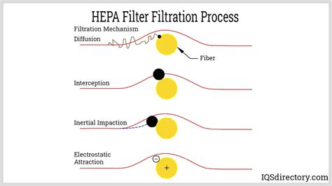 Hepa Vacuum Cleaner: Components, Maintenance & Regulations