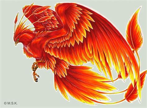 Harry Potter Phoenix Fawkes Bird Tattoo PNG, Clipart, Art, Beak, Bird ...