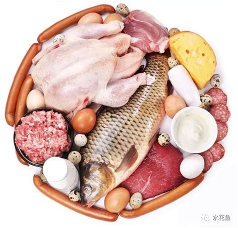 据说常吃鱼肉和鸡肉可以预防肝癌！_研究