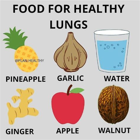 Food for Healthy Lungs: Health Tips – Food Pyramid