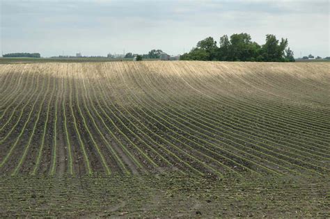 Is Tillage Stealing Your Soil?