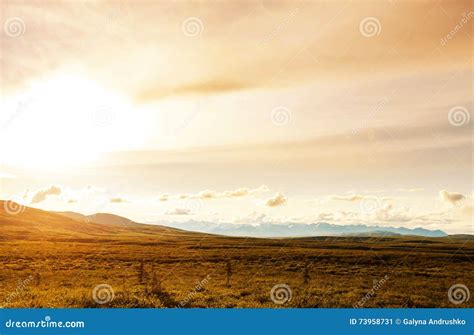 Polar tundra stock image. Image of peaceful, alaska, scenery - 73958731