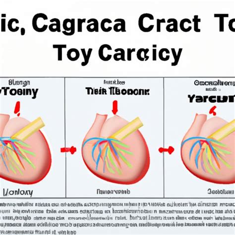 How Much Does a CT Coronary Angiogram Cost? A Comprehensive Guide - The Enlightened Mindset