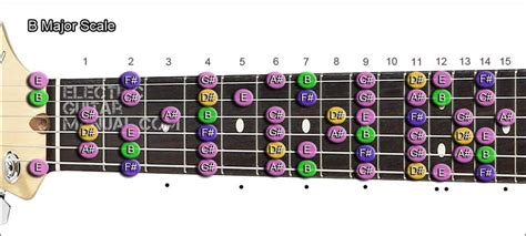 Major Scale - 12 Tones in the Best Chart - Electric Guitar Manual