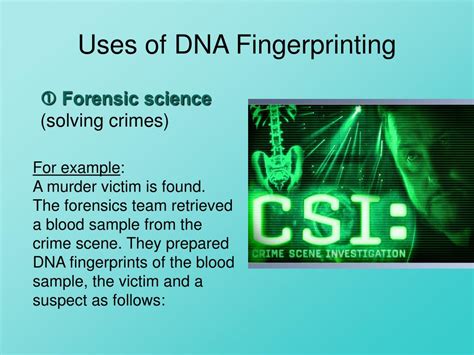 PPT - DNA Fingerprinting PowerPoint Presentation, free download - ID:6091471