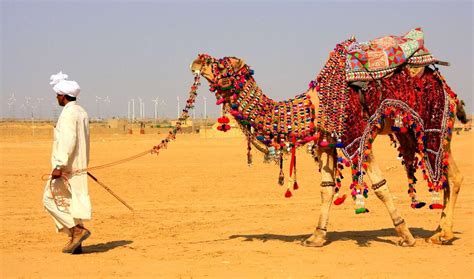 Jaisalmer Desert Festival - Santo Domingo travel