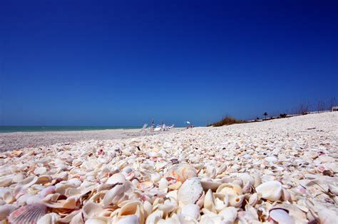 Shelling - Island Inn Sanibel