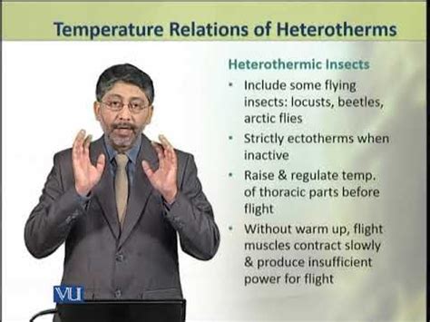 Temperature Relations of Heterotherms | Animal Physiology and Behavior (Theory) | ZOO502T ...