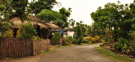 Mawlynnong Village In India Is The Cleanest Village In Entire Asia