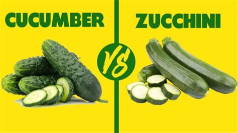 How Do Zucchini and Cucumber Differ?- Taste, Smell, & Nutrition's!