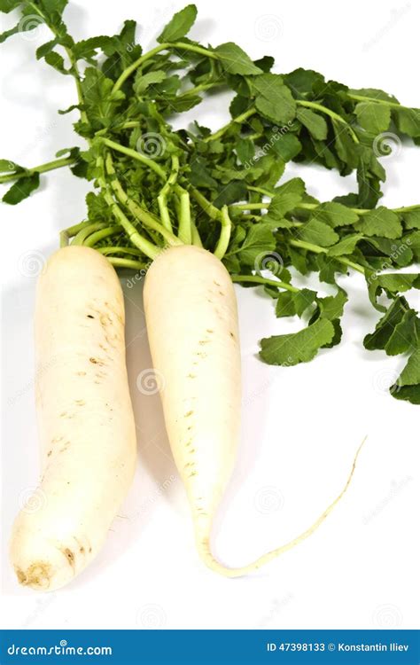 White turnip stock image. Image of nutrition, health - 47398133