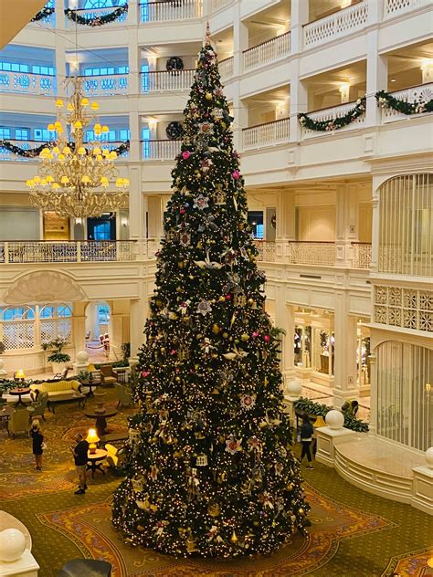 BREAKING NEWS: The Christmas Tree Just Went Up at the Grand Floridian! - MickeyBlog.com