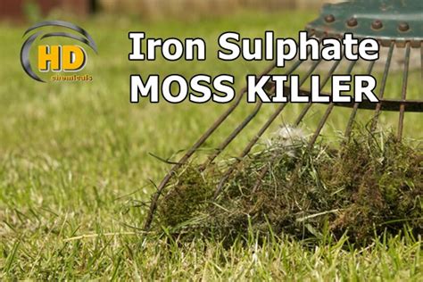 Iron Sulphate – best moss killer for your lawn - Blog - HD Chemicals LTD