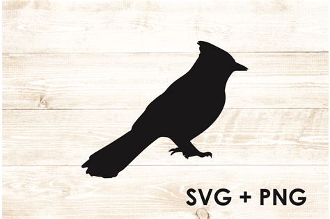 Blue Jay Bird Silhouette Vector SVG Graphic by Too Sweet Inc · Creative ...