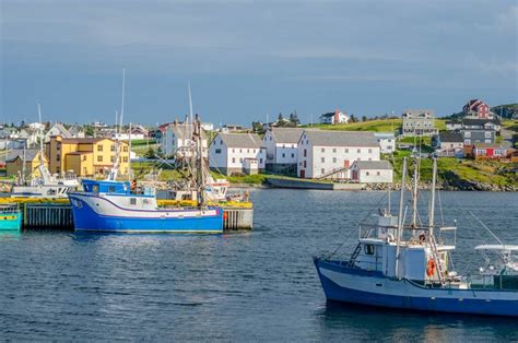 Twillingate, Newfoundland fishing village. Boats tied up in low tide, in for the day, bright ...