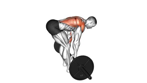 5 Best Lat Exercises With Barbell For Strong And Sculpted Back Muscles ...