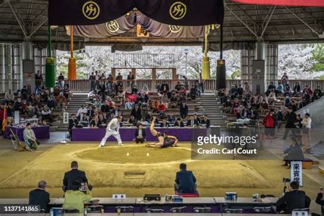 Women Sumo Wrestling Photos and Premium High Res Pictures - Getty Images