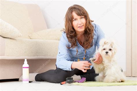 Dog grooming — Stock Photo © Amaviael #25948199