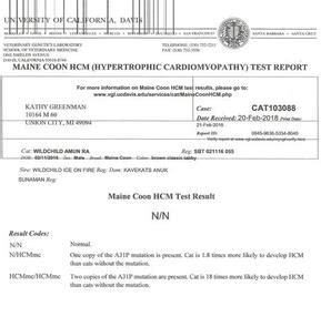 HCM-Testing