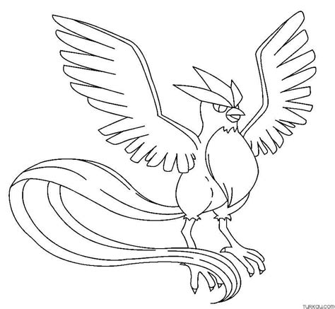 Legendary Bird Pokemon Coloring Pages