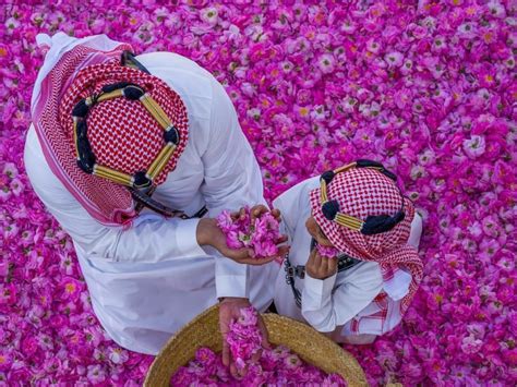 Saudi Arabia's Taif Rose Festival 2024 in Pictures