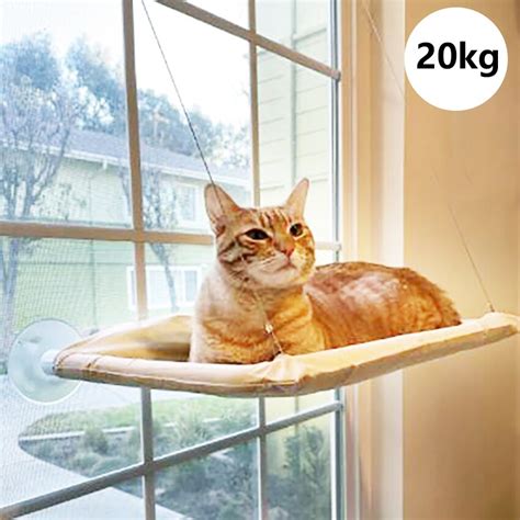 Cute Pet Hanging Beds Bearing 20kg Cat Sunny Window Seat Mount Pet Cat ...