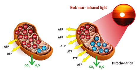 Health Benefits of Red Light Therapy | PatriotDirect Family Medicine | Natick, MA