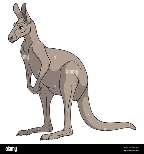 Big kangaroo Stock Vector Images - Alamy