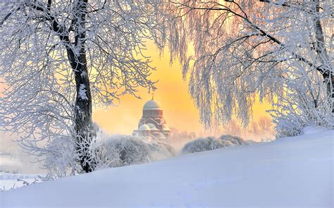 Pictures St. Petersburg Russia Winter Nature Snow Trees 1920x1200