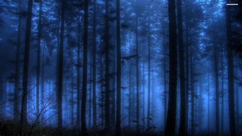 Blue Forest Wallpapers - Top Free Blue Forest Backgrounds - WallpaperAccess