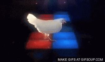 Techno Chicken GIF - Find & Share on GIPHY